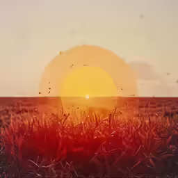 the sun setting over an empty farm field