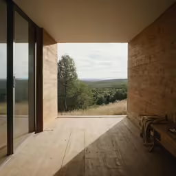 a open door leading into a wooden room with an outside view