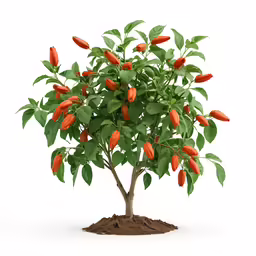 a small tree with lots of orange flowers