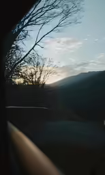 a tree sitting next to a road near mountains