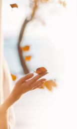 two leaves being held out to someone in front of some water