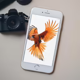 iphone displaying image of bird with camera on table next to cellphone