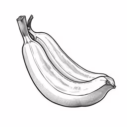 a drawing of three banana bananas