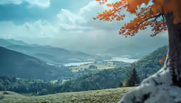 a lone tree standing on a lush green hillside