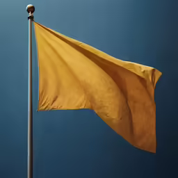 the flag is flown in the wind on a pole