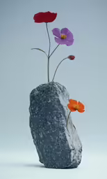 a rock with flowers growing out of it
