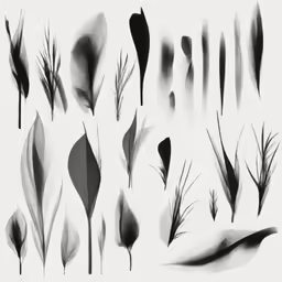 black and white photograph of many leaves