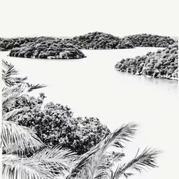 black and white photograph of an island with palm trees