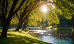 a tree lined river with sunlight shining behind the trees