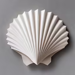 a scallop shell on a gray surface