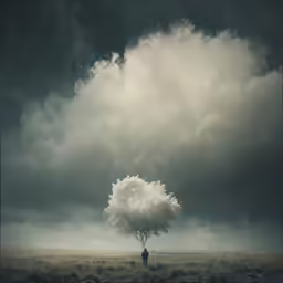 lone person standing under tree in large grassy area