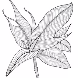 a line drawing of a plant with green leaves,an artistic line art drawing of a tree