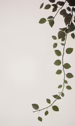 a tree branch with leaves on it in front of a white sky
