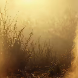 the back end of a horse running through fog and sunshine