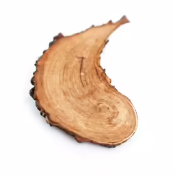an image of a slice of wood that looks like it has been cut down