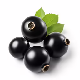 black cherryberries with a green leaf on top