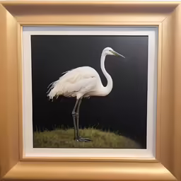 there is a framed picture of a bird