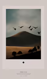 the silhouette of birds flying over mountains