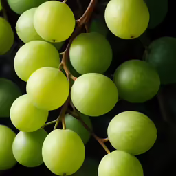some green fruit and a small bushel of them