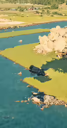 a bird view of an area with several different kinds of animals in it