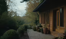 many large plants and trees sit on the outside of a house