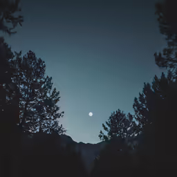 the full moon rises over trees on a cloudy day