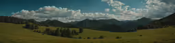 an alpine landscape with lush green pastures and mountains