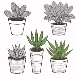 four plants, one in a pot, the other a potted plant