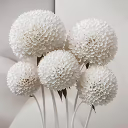 a bunch of white flowers inside of a vase
