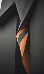a black and tan tie and some sort of design