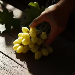 a person arranging some yellow flowers in their hand
