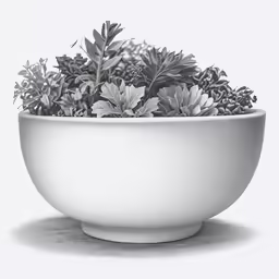 a white bowl with plants in it