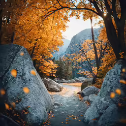 a scenic photo of trees with fall foliage