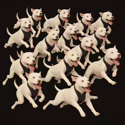 white dogs with collars and black collar are all jumping in the air