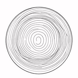 a spiral shaped drawing is shown in black and white